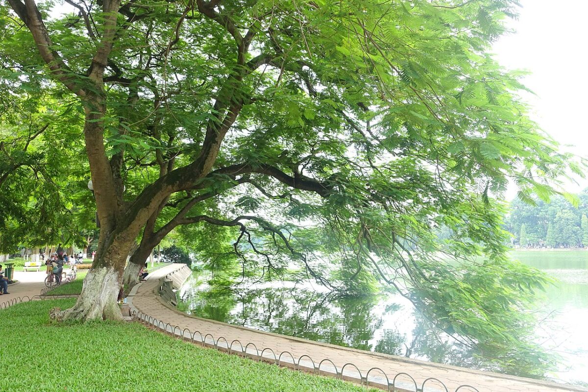 Góc tham quan khác tại Không gian đi bộ khu vực Hồ Hoàn Kiếm