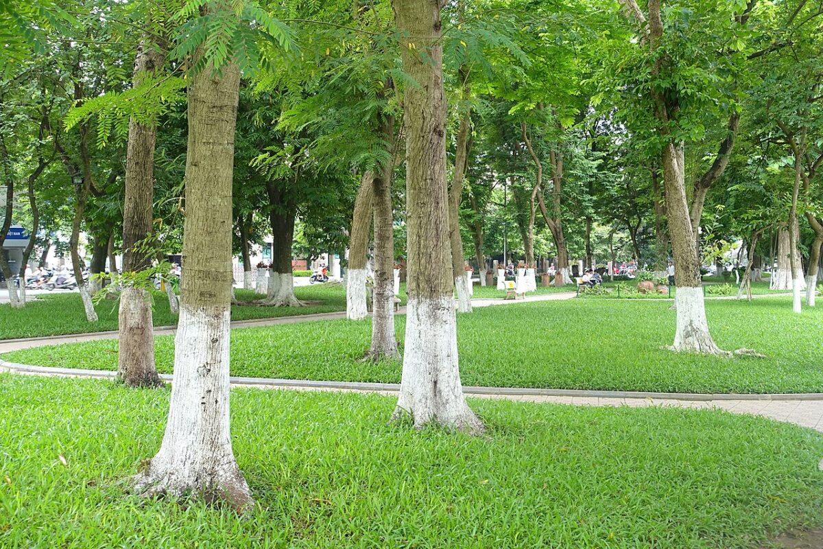 Góc tham quan khác tại Không gian đi bộ khu vực Hồ Hoàn Kiếm
