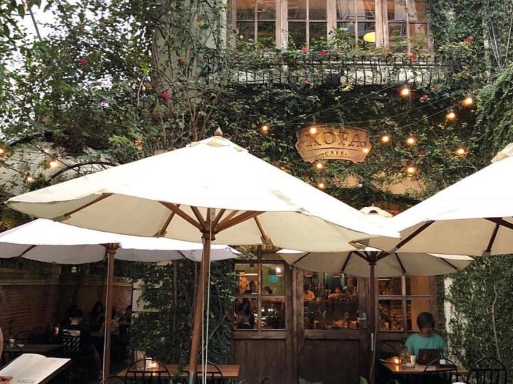 Xofa Café & Bistro